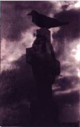 Black Horizonz : Lost in Shadow Grim Black Horizonz : Lost in Shadow Grim